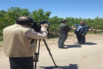 دانش بنیان